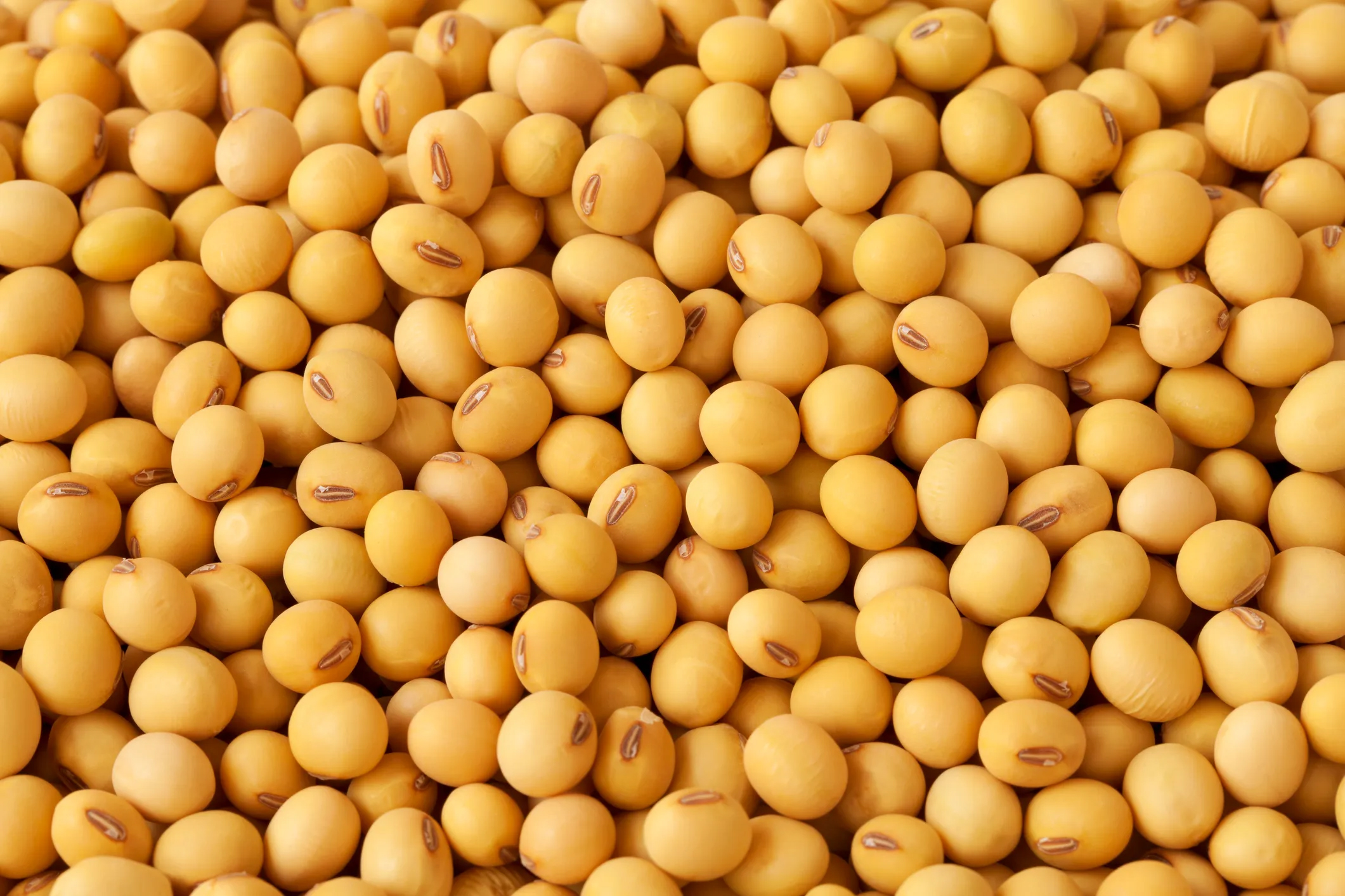 - Soy is nutrient rich, including heart-healthy omega 3’s